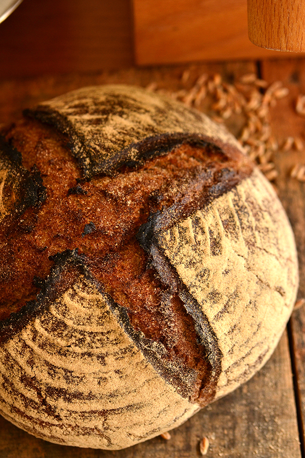 大阪市西区のドイツパン工房 キルシュブリューテ » ミッシュブロート